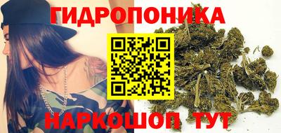 тгк Пугачёв